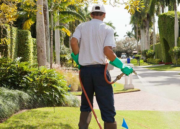 About Newhall WV Pest Control